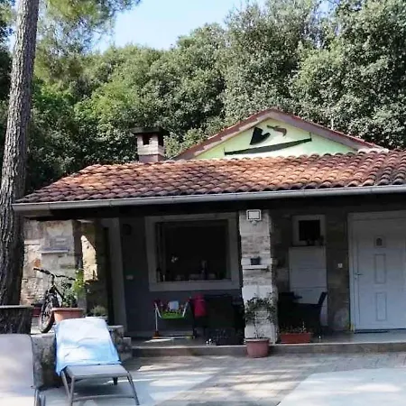 Hana Mare Rovinj